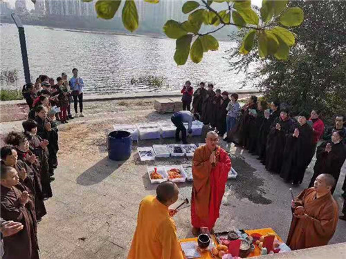 暂无图片